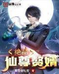 绝品仙尊赘婿
