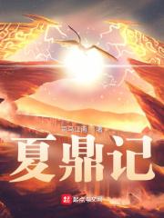 夏鼎记