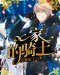 DC家的骑士